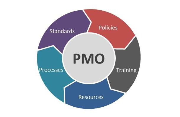 The Project Management Officer (PMO)